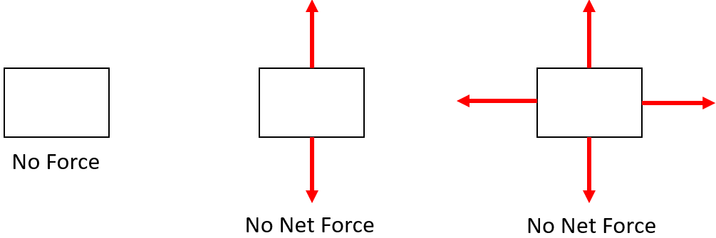 No Force or No Net Force
