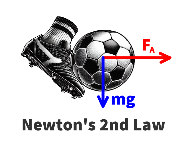 Newton' Second Law