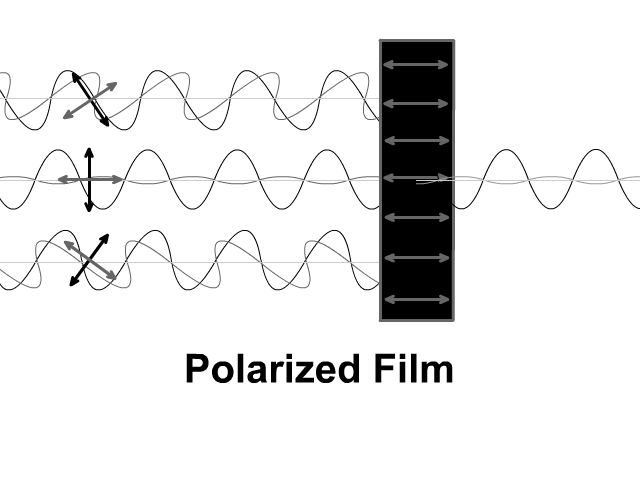 polarization of light animation