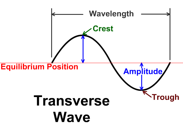 Transverse Wave Parts