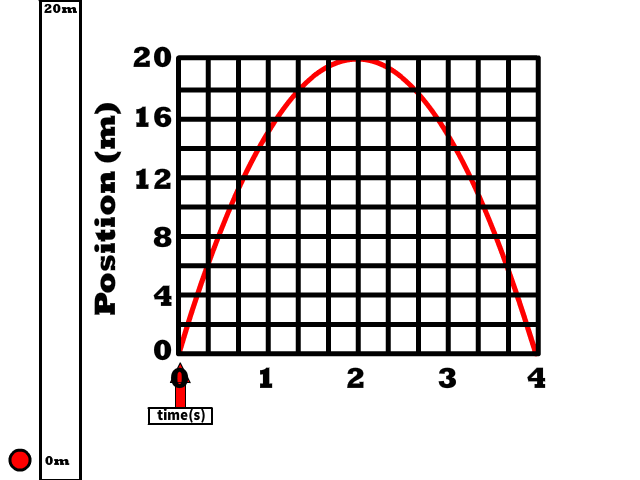 PT Graph of Y-Axis Projectile Motion