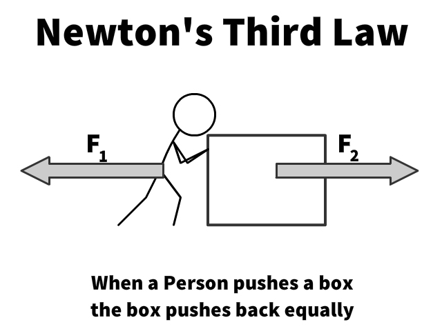 ANSWERED] According to Newton's 3rd Law of Motion, if you push gently -  Kunduz