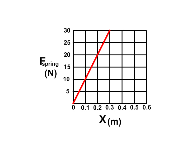Spring Force Graph