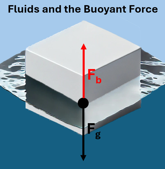 Fluids and the Buoyant Force